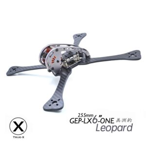 GEP-LX6-One Leopard Frame